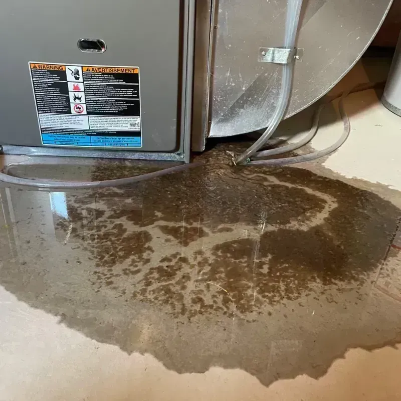 Appliance Leak Cleanup in Meadowbrook, CA